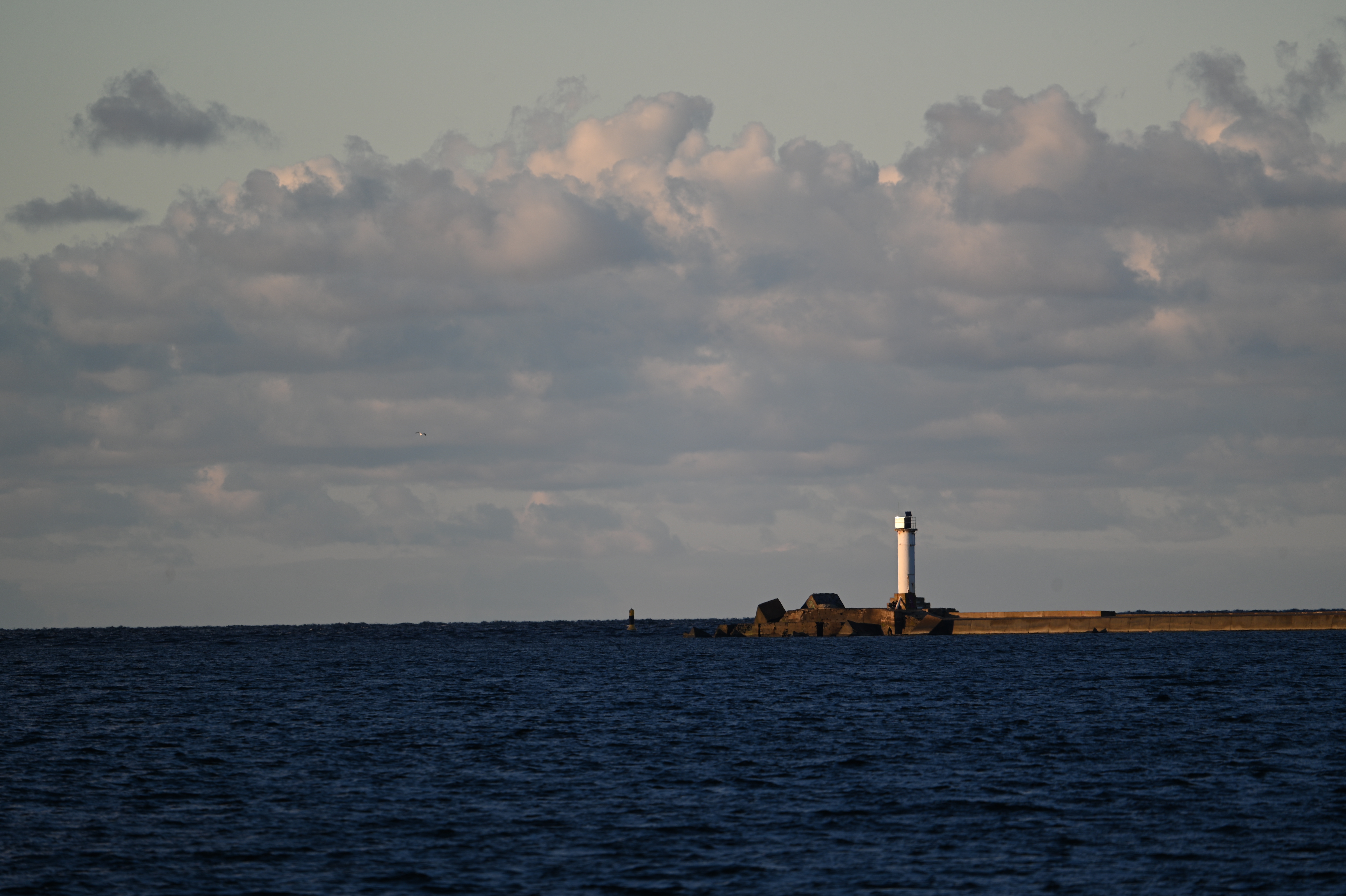 2025/10/18 - walk/DSC_0210.JPG